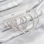 Pirinç Halka Model Gümüş Renk Kadın Set Küpe