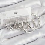 Pirinç Halka Model Gümüş Renk Kadın Set Küpe