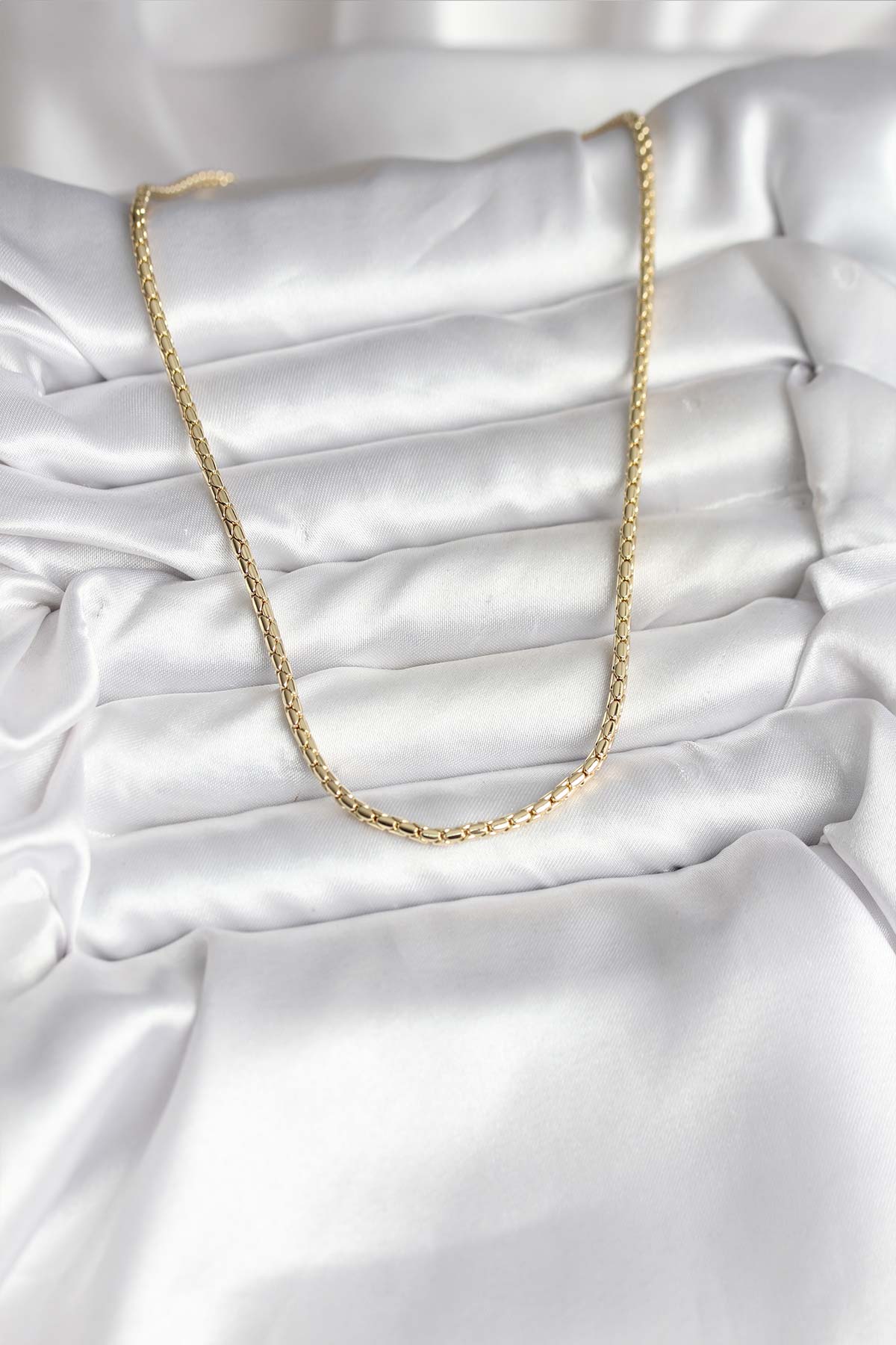 1764421951_BKO10742-2