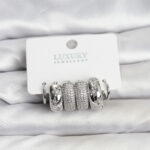 Zirkon Taşlı Pirinç Gümüş Renk Halka Kadın Küpe Seti